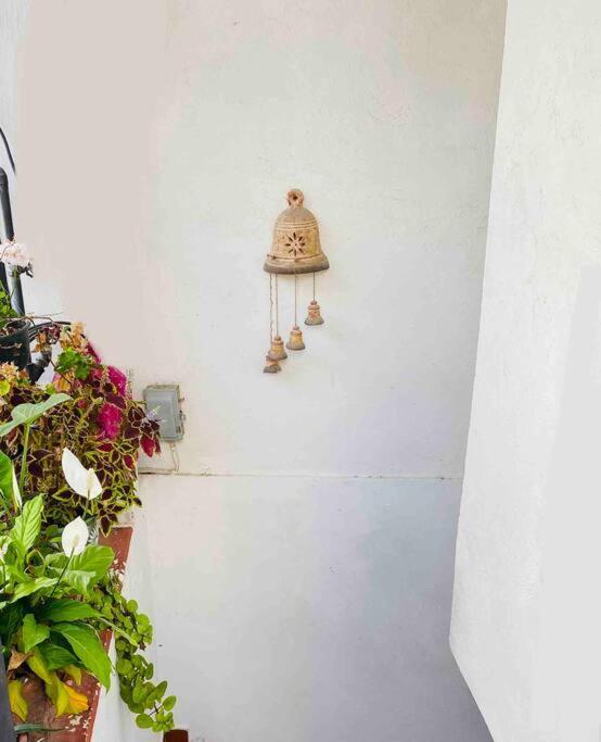 Bonito Y Comodo Departamento En Taxco! Apartment Екстериор снимка